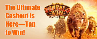 VIP Weekly Rebate promotion
